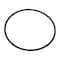 Lbx O RING, LBX OEM L04921162 L04921162 - alternate 6