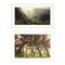 Homeroots Set Of Two The Land of Hobbits 1 White Framed Print Wall Art, 2PK 406158 - alternate 1