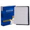 Premium Guard Engine Air Filter,  PA6116 - alternate 1