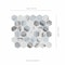 Msi Esperanza Hexagon Sample Glass Mosaic Wall Tile ZOR-MD-0525-SAM - alternate 13