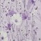 Homeroots 8' X 10' Lavender And Lilac Floral Washable Indoor Outdoor Area Rug 611153 - alternate 9