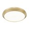 Z-Lite Quasars Modern Gold 1 Light Flush Mount 7701F20-MGLD-LED - alternate 7