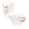 Fluidmaster Universal Toilet Tank Lever in Chrome, 10PK B681P10 - alternate 6