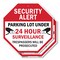 Signmission Security Alert Parking Lot Under 24, 10 inch X 10 inch, Aluminum Metal Signs, 2PK OC-A-2PACK-10-116 - alternate 1