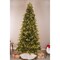 Holiday Bright Lights 1-2 Tree 9 ft. Full LED 600 ct Highland Green Spruce Color Changing Christmas T9HSWMA - alternate 9