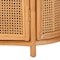 Bali & Pari McKenna Natural Rattan Storage Cabinet 263-14419-ZORO - alternate 10