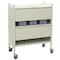 Omnimed Economy Privacy Chart Racks 2 Tier In Beige (43.75H X 34.5W X 17D) 20 Binder Capacity 280120 - alternate 1