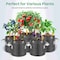 Ipower InfiniPower 5 Gallon Plant Grow Bags, 400G Thick Nonwoven Fabric Pots, 5PK GLGROWBAG5X5GRY - alternate 7