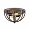 Jonathan Y Darlene 13" 2-Light Iron Rustic Farmhouse LED Flush Mount, Brown JYL7479A - alternate 1