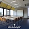 Luxrite 3FT LED Tube Light, T8, 12W=25W, 5CCT 3000K- 6500K, 1560LM, 320Deg. Beam Angle, Fluorescent, 4PK LR34243 - alternate 6
