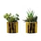 Monarch Specialties Artificial Plant, 7'' Tall, Succulent, Indoor, Fake, Decorative, Green Plants, Glossy Gold Pots, 2PK I 9553 - alternate 2