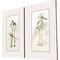 Homeroots Set Of Two Stilt Birds White Framed Print Wall Art, 2PK 526076 - alternate 4