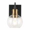 Jonathan Y Marais 5.88" 1-Light Iron/Glass Rustic Vintage LED Vanity Light, Black/Brass Gold JYL3526A - alternate 1