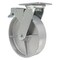 Vestil Cast Iron/Steel Swivel With Total Brake Caster 8 In. Diameter x 2 In. Width 1760 lb Silver CST-VE-8X2CI-SWTB - alternate 5