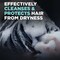 Dove Men+Care Eucalyptus and Birch 2 in 1 Shampoo and Conditioner, 12 Ounce, 6PK 69792884 - alternate 9