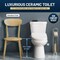 Anzzi Garden 12in 2pc 1.28 GPF Siphon Elongated Ceramic Toilet, White Electric Bidet Seat, ADA height Incl TL-AZ070-EB106V - alternate 9