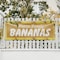 Signmission Farm Fresh Bananas, 48 Inch x 120 Inch, Vinyl Banner B-120-30576 - alternate 5