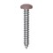 Auveco 10 x 1 1/4in Tan Painted Square Drive Pan Head Tapping Screw, 100PK 25389 - alternate 1
