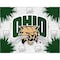 Holland Bar Stool Co Ohio University 24"x32" Canvas Wall Art LCnvs2432UnivOH - alternate 1