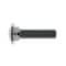 Zoro Select Carriage Bolt, Square Neck, 5/8"-11, 2 1/2 in L, Stainless Steel, 18-8, Not Applicable, 25 PK 31-CB-62C-250 - alternate 3