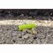Marshalltown Mason's Line, Archaeology Line, Braided Nylon, 250 feet Line, No 18, Yellow 632 - alternate 5