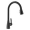 Blanco Atura Pull-Down 1.5 GPM, Matte Black 443027 - alternate 1