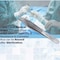 A2Z Scilab Hollow Handle Tweezers, Serrated + Toothed, 4.75 inches, Straight, Stainless Steel A2Z-ZR-248-SER-SU - alternate 6