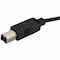 Startech.Com CONNECT USB 2.0 USB-B DEVICES TO YOUR USB-C OR THUNDERBOLT 3 COMPUTER - 6FT USB USB2CB2M - alternate 4