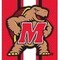Coverking UNIVERSAL ULTISUEDE SEAT COVER DESIGNER 1PC, UNIVERSITY OF MARYLAND, ELA041 USCSELA041 - alternate 2