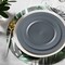 Smarty Had A Party Matte Charcoal Gray Round Plastic Dinnerware Value Set (120 Dinner Plates + 120 Salad Plates), 240PK 4850CHGR-VP-CASE - alternate 10