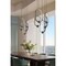 Z-Lite Saros Matte Black 5 Light Chandelier 4101-5MB-LED - alternate 6