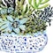 Homeroots Set Of Two Succulent Garden Gold Framed Wall Art, 2PK 649145 - alternate 3