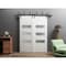 Vdomdoors Double Pocket Interior Door, 36" x 96", White SETE6900BBB-WS-3684 - alternate 1