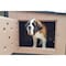 K9 Kennel Store K9 Kennel Castle With 4ft X 8ft X 5ft Tall Run and Metal Cover Complete C5T4X8KC - alternate 4
