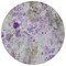 Homeroots 8' Purple Lavender And Artichoke Green Round Floral Washable Indoor Outdoor Area Rug 583126 - alternate 6