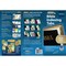 Tabbies BIBLE INDEXING TABS- CLASSIC OT & NT, 80 SOLID GOLD TABS, 1"L-1/4" EXT, 10 PKS/BX, 10PK 58350 - alternate 6