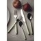 Mepra Fantasia Flatware Set - 5 Pieces - Sage 10S622005 - alternate 4