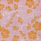 Homeroots 8' X 10' Pink And Copper Floral Washable Indoor Outdoor Area Rug 600039 - alternate 8