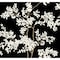 York Wallcoverings Lunaria Silhouette Black and White Wallpaper BL1804 - alternate 1