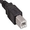 Sanoxy 3ft USB 2.0 A Male to B Male Cable, Black SNX-CBL-LDR-U2102-1103 - alternate 2