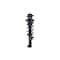 Fcs Struts Suspension Strut And Coil Spring Assembly 1345820R - alternate 1