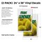 Signmission Organic Lemonade, Vinyl Decals Only 24 Inch x 36 Inch, Vinyl Decal, 2PK DSB-2436-2PACK-Organic Lemonade - alternate 2