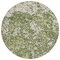Homeroots 8' Olive Green And Ivory Round Abstract Washable Indoor Outdoor Area Rug 612763 - alternate 8