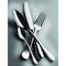Mepra Brescia Champagne Flatware  Set - 20 Pcs. 1020B22020C - alternate 2