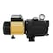 K2 Pumps 3/4 HP Thermoplastic Shallow Well Jet Pump WPS07503K - alternate 7