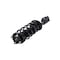 Fcs Struts Suspension Strut And Coil Spring Assembly 1333453L - alternate 5
