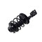 Fcs Struts Suspension Strut And Coil Spring Assembly 1332316L - alternate 5