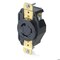 Leviton Flanged Locking Receptacle, L5-20R, 20 A, 125V AC, Single Phase, 2 Pole, Flush Mount, Black 2310-B - alternate 5