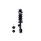 Fcs Struts Suspension Strut And Coil Spring Assembly 1334483R - alternate 1