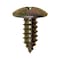 Auveco Phillips Truss Head License Plate Screw M6-1.81 x 15mm, 50PK 17098 - alternate 1